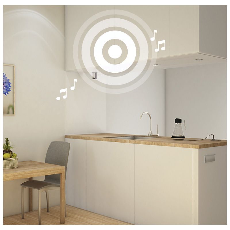 Enceinte Bluetooth par transducteurs acoustiques