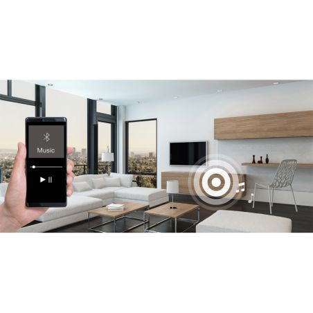 Enceinte Bluetooth par transducteurs acoustiques Enceinte Bluetooth par transducteurs acoustiques