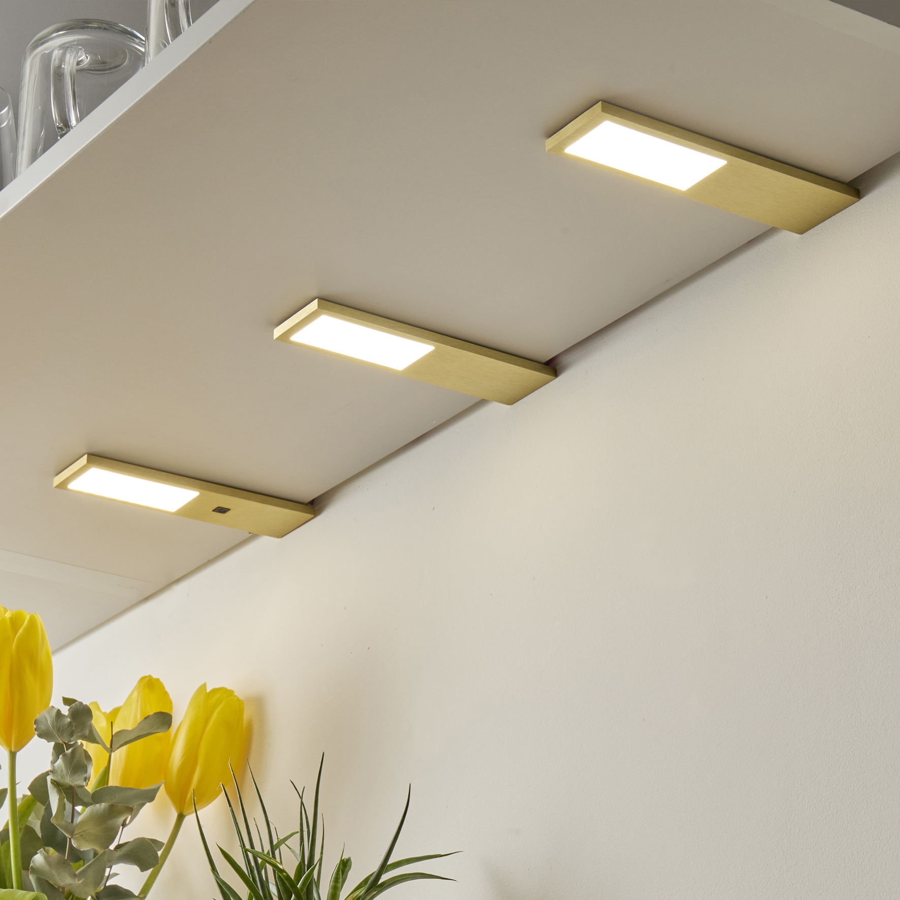 Nouveau catalogue 2025 - MSA France